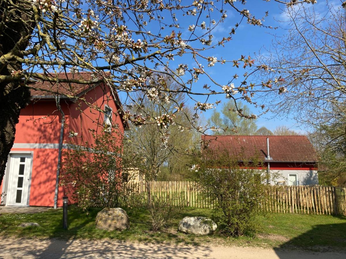 Urlaubsoase Ostsee Hohen Schoenberg Exterior foto